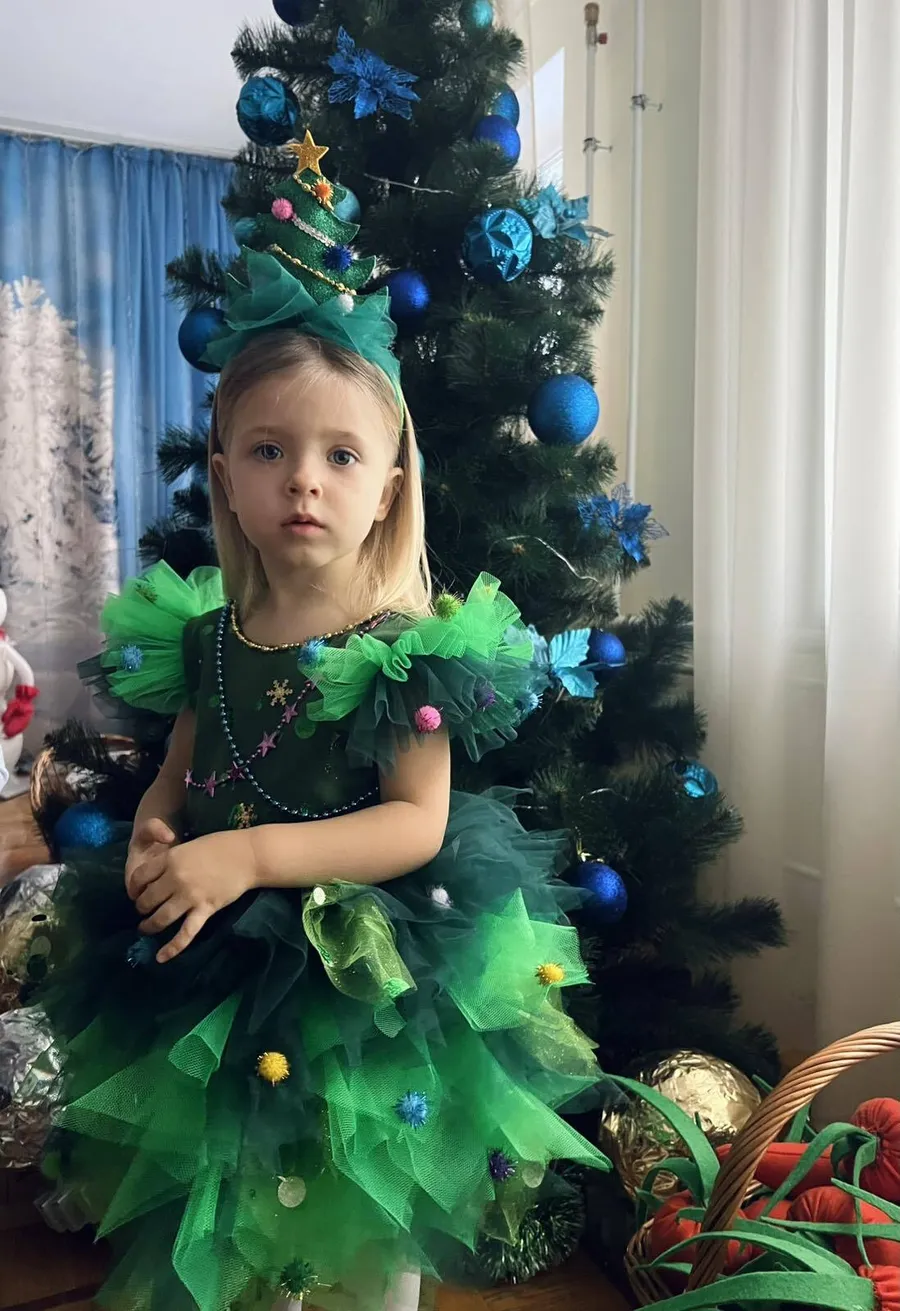 Новорічний образ